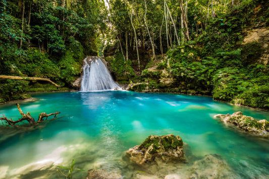 What To Do When You Travel To Jamaica