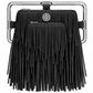 Rectangle Golden Frame Fringe Drama Bag Calfskin Suede & Leather, Stainless Steel Gold Plated Handle