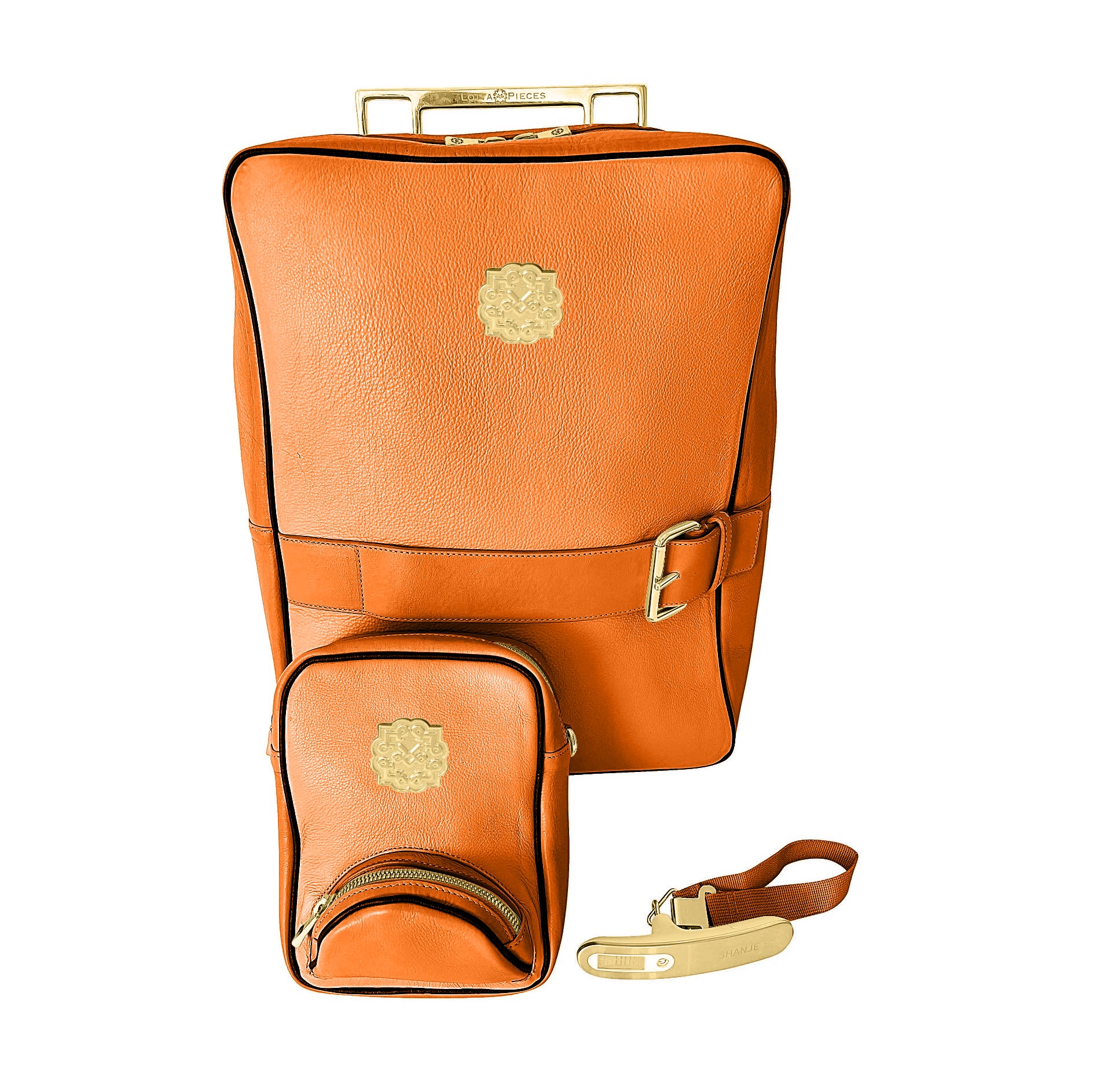 leather backpack
